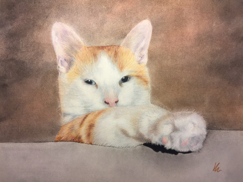 Lucas Colored Pencil Drawing