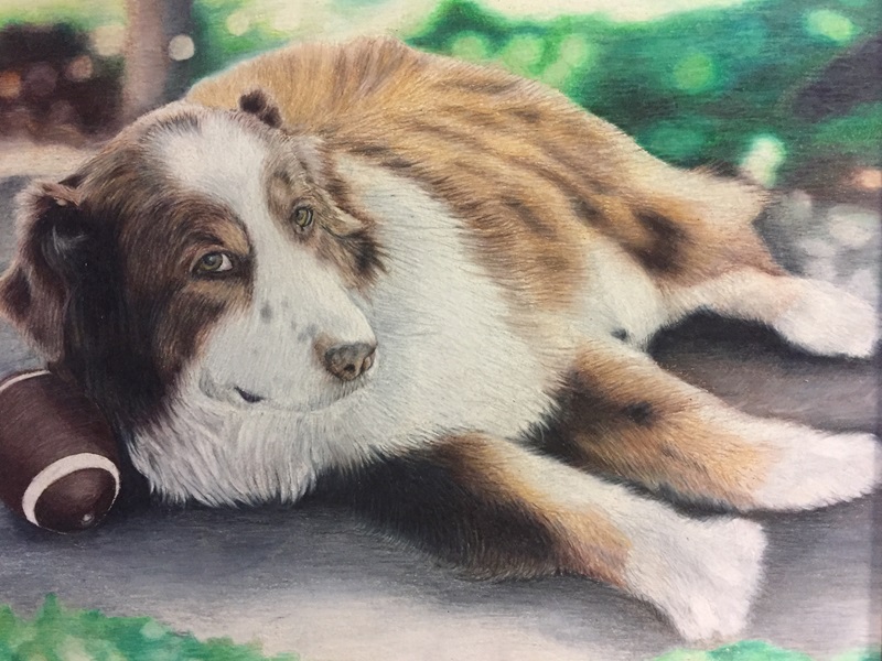 Sam Colored Pencil Drawing
