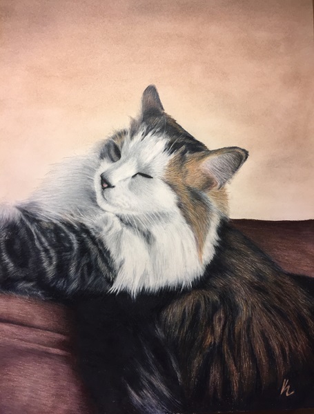 Stellaboo Colored Pencil Drawing